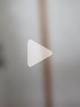 Little-Sammy photo 11