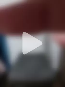 Little-Sammy photo 10