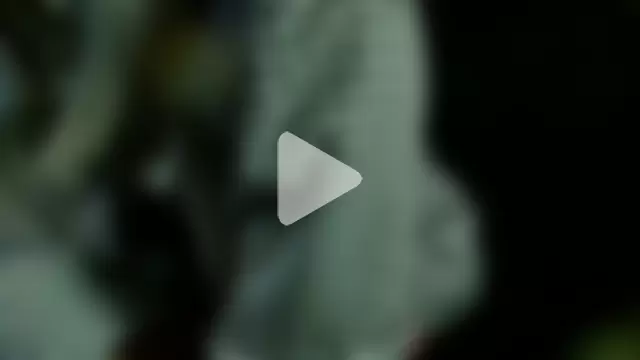 Littlespacemouse photo 10