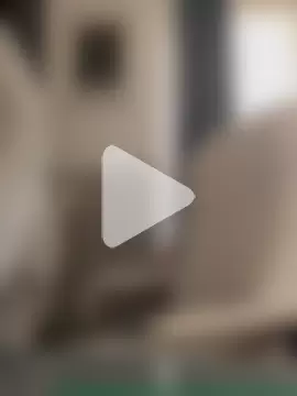 Loona-Lexxington photo 5