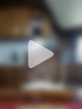 Lotus-blume1 photo 2