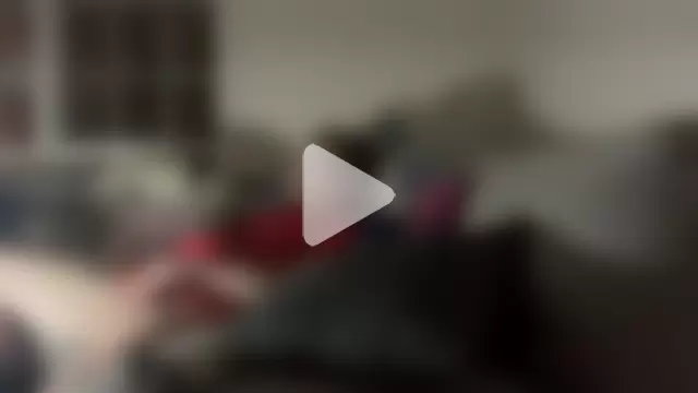 LoudDislike photo 18