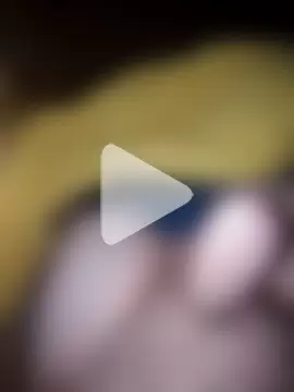 Lovelabite2 photo 13