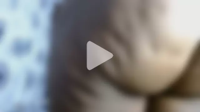 Lovelyboobs01 photo 24
