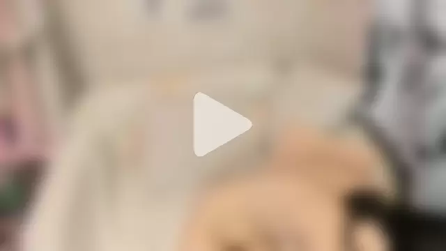 Luafy_Toddy photo 19