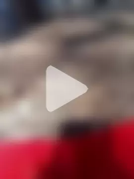 Luanatrav1 photo 18