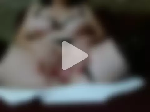 Lucy-Franny photo 13