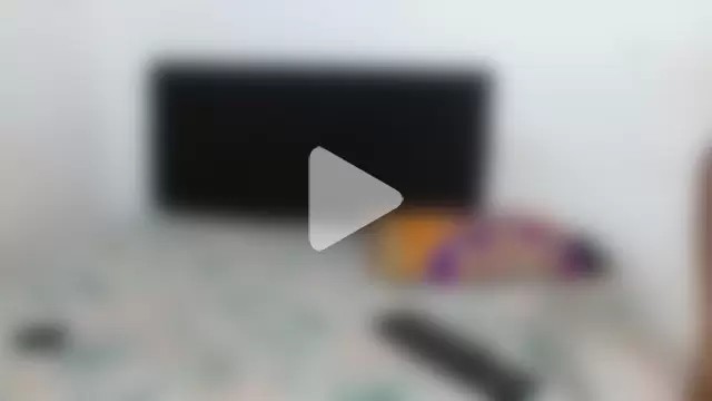 Lulu_and_smith photo 12