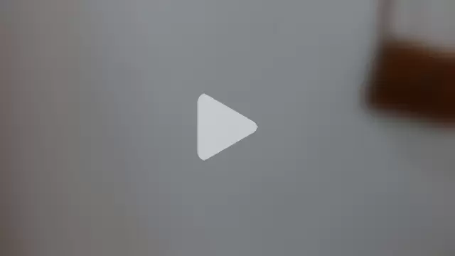 Lulu_and_smith photo 2