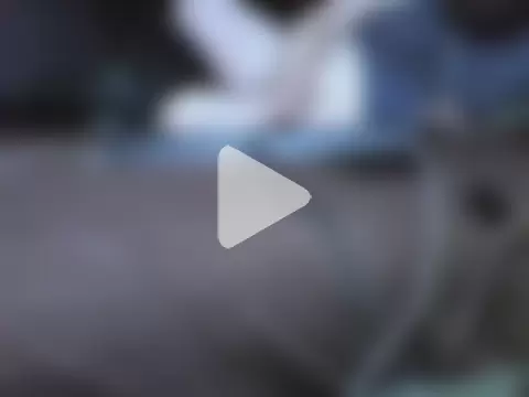 LumberJake69 photo 1