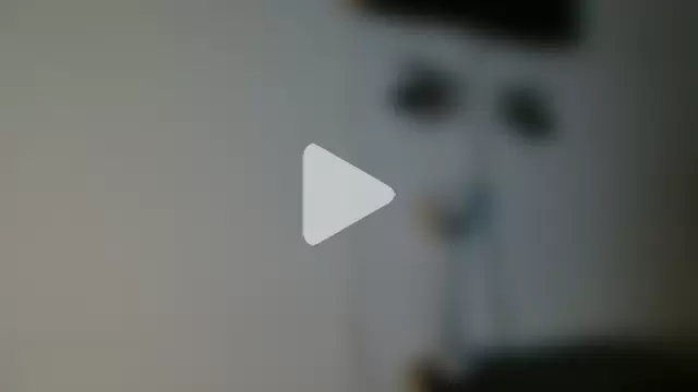 MINI_Petite photo 3
