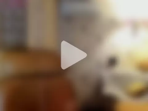 MadeleineWiliams photo 6