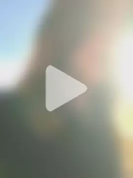 Magical_Misha photo 13