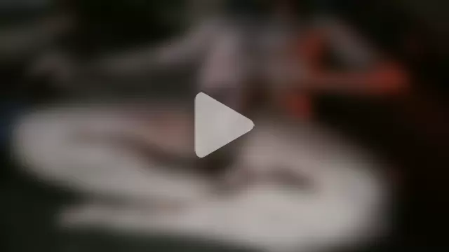 Majestic-Class photo 18