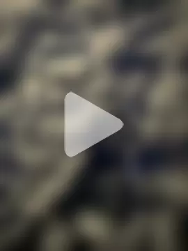 Majorcumlive photo 25