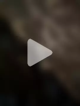 Majorcumlive photo 24