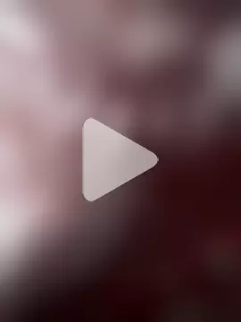 Majorcumlive photo 11