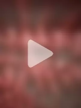 Majorcumlive photo 8