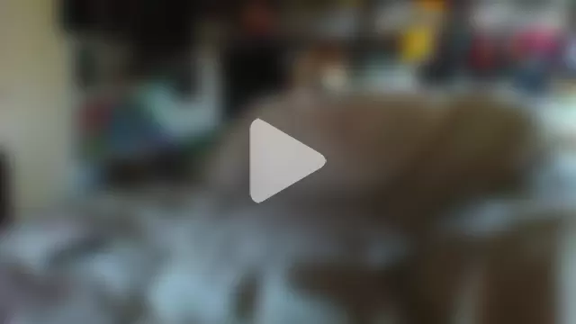 MariaAnaSunshine photo 18