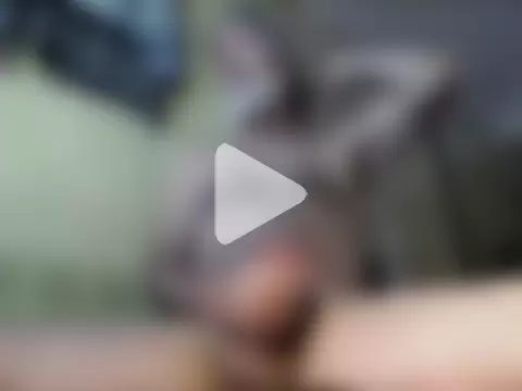 Mark_Needham photo 5