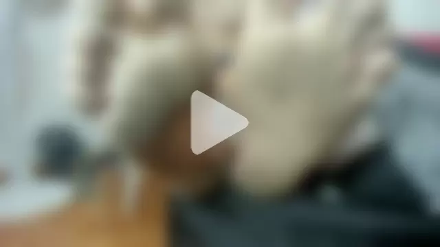 MasterSEX420 photo 22