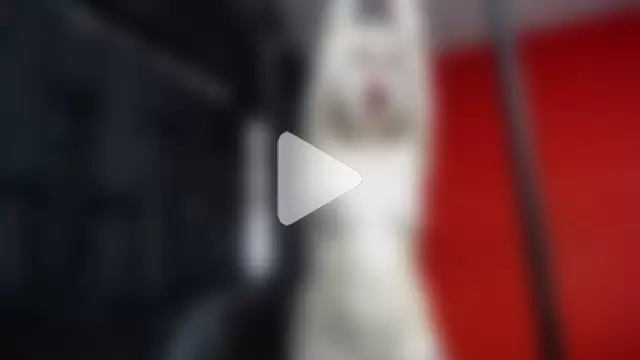 Master_rudeboy photo 14