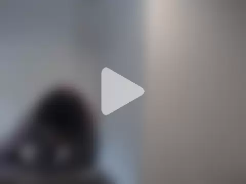 Mastertopdome photo 15