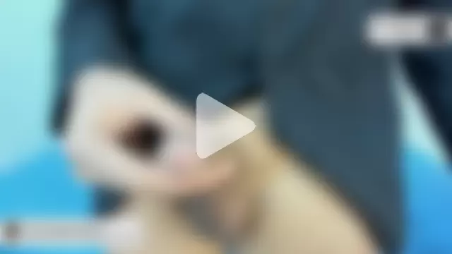 Max_and_Peter photo 3