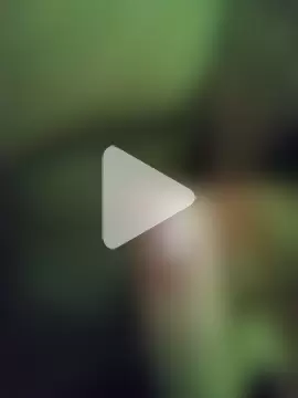 Max_novato photo 9