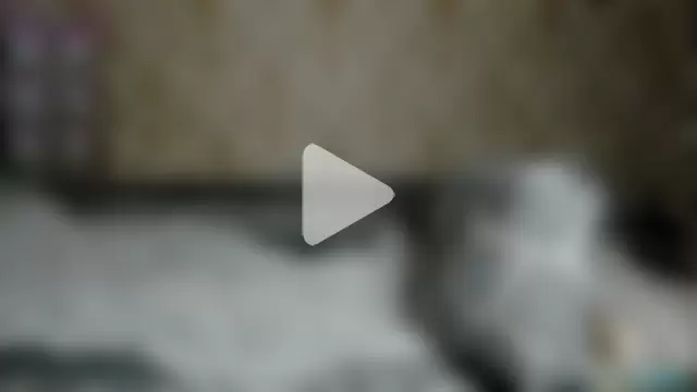 Maxhornyblondieman photo 10