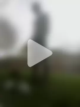 Melaneighted photo 1