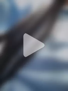 Melany_Williams photo 16