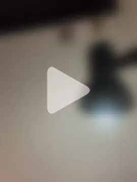 Melody_Fox26 photo 12