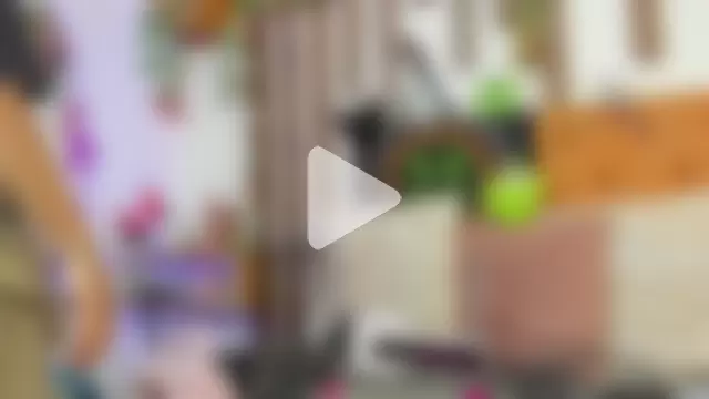MeowMota_ photo 1