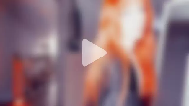 Meowroslava photo 12