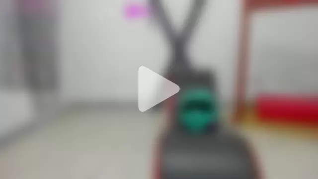 MiaBella_and_Max photo 14