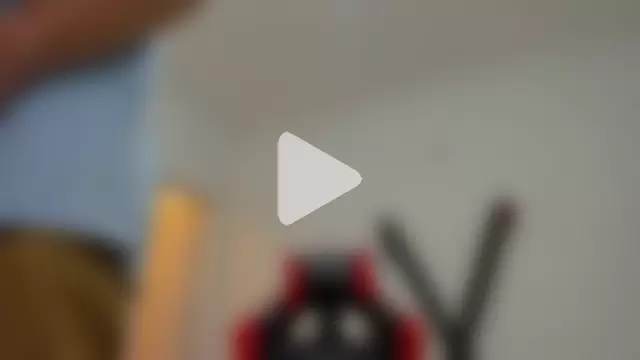 MiaBella_and_Max photo 6