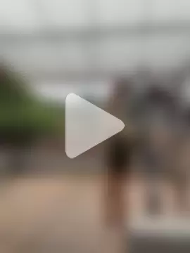 Mia_Rosee1 photo 8