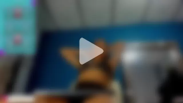 Mia_scarlet69 photo 24