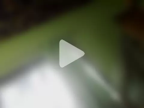 Mim_mim7 photo 4
