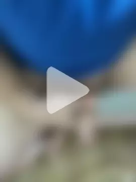 Mindnorthcam2 photo 6