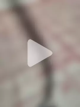 Minhas_wow799 photo 2