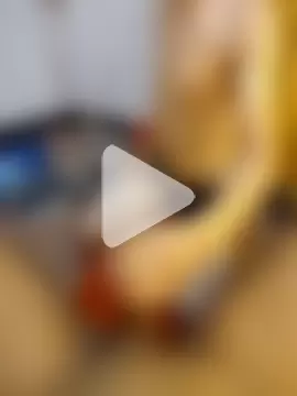 Misterjhons2 photo 6