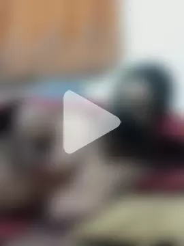 Mitila-3232 photo 10