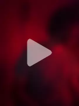 Mixed_Dutch_Boii photo 1