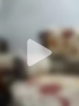 MonetaryContest photo 3