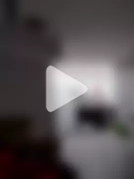 MrGreenbeanbean88 photo 16