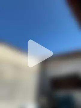 MrLeoLatino photo 26