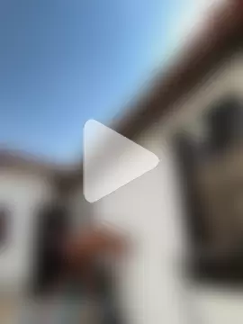 MrLeoLatino photo 23