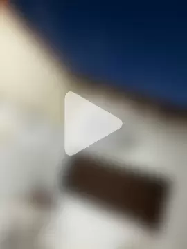 MrLeoLatino photo 14